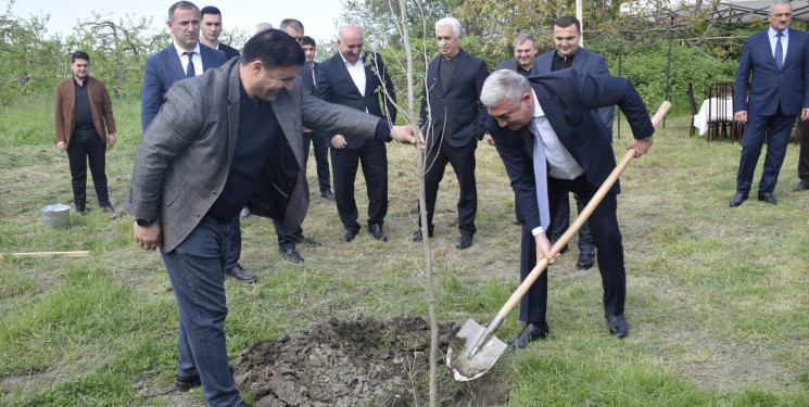Qubada Ümummilli Lider Heydər Əliyevin anadan olmasının 103-cü ildönümü münasibətilə ağacəkmə aksiyası keçirilib.